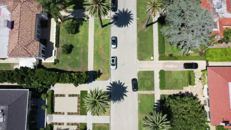 drone flying over palm tree lined streets with cars driving, and mansions in beautiful, sun-kissed, west hollywood, california