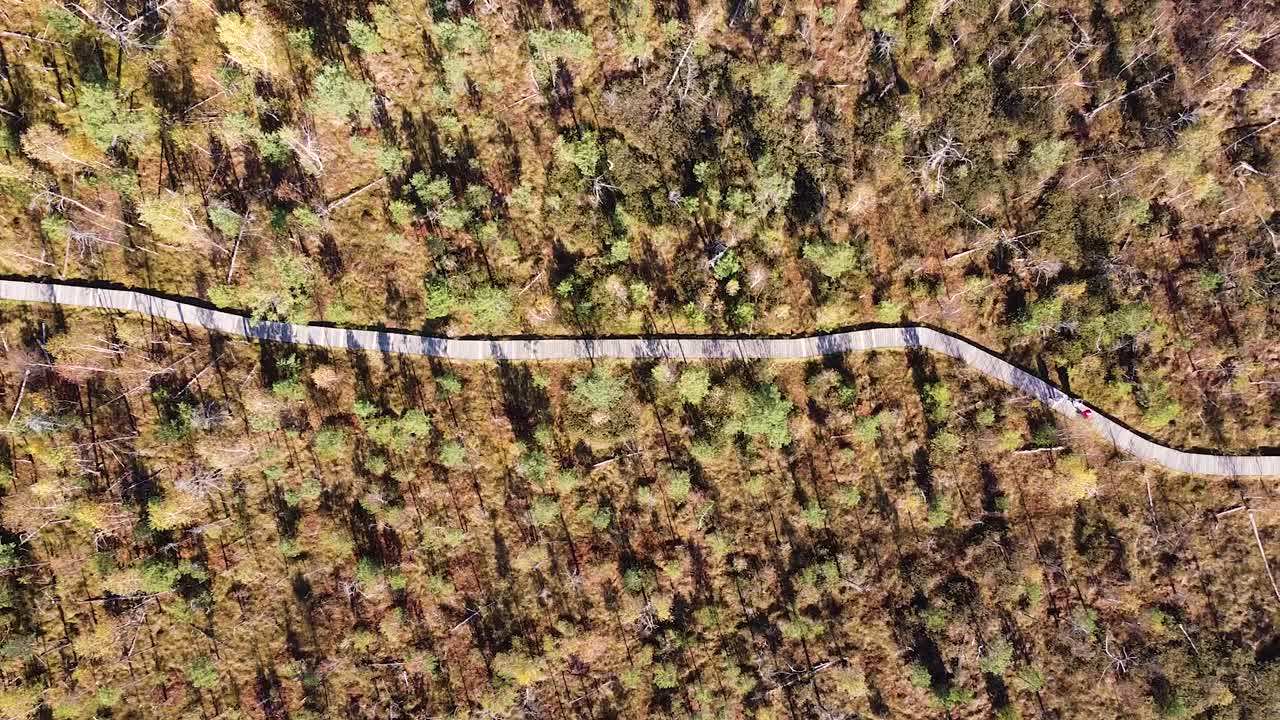gente caminando por un camino de madera que atraviesa una zona pantanosa en lituania, tiro aéreo de arriba hacia abajo