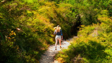 walking down a path in the bush, rotorua, new zealand