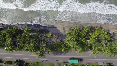 aerial view of manzanillo beach in puerto viejo, costa rica, with palm trees lining the coastline and waves crashing