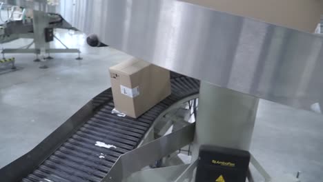 automated packaging line