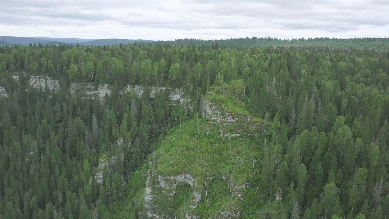 Forest Landscape with Cliffs and Mountains