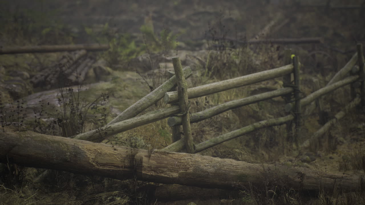 Rustic wooden fence borders a tranquil plot of untamed land at dusk