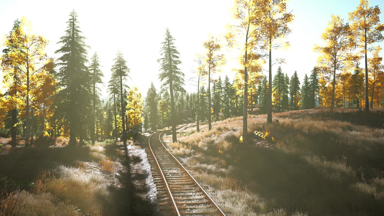 숲 속의 가을 철도