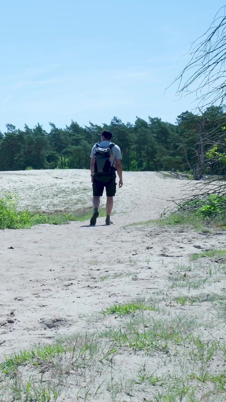 Man Hiking on Sandy Trail in Forest