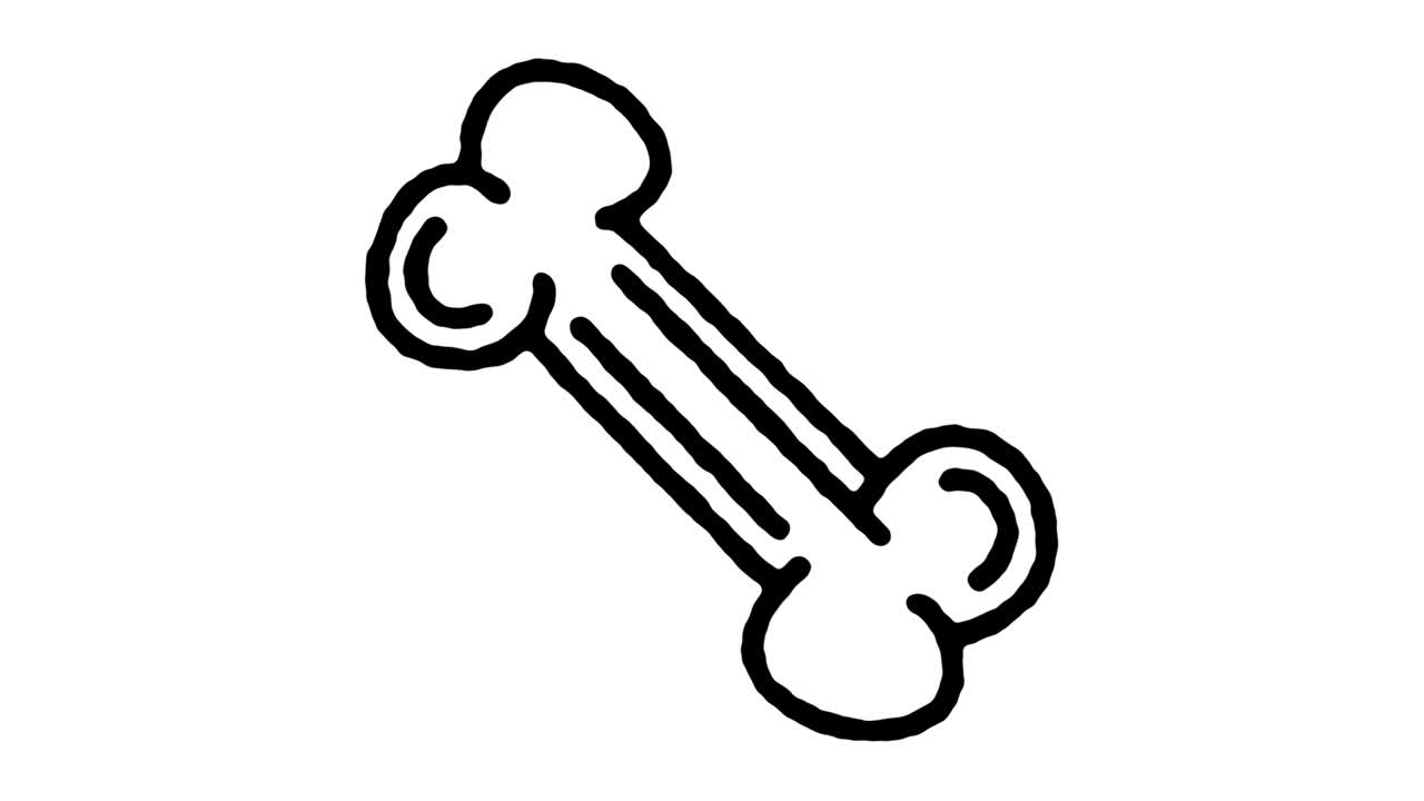 개  스케치 라인 아이콘 애니메이션