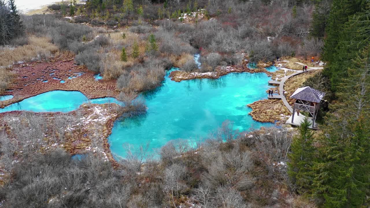 Aerial forward over turquoise waters of Zelenci natural resort lake, Slovenia