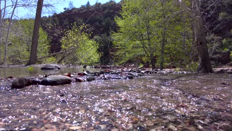 snow runoff floods along the edge of oak creek , sedona, az