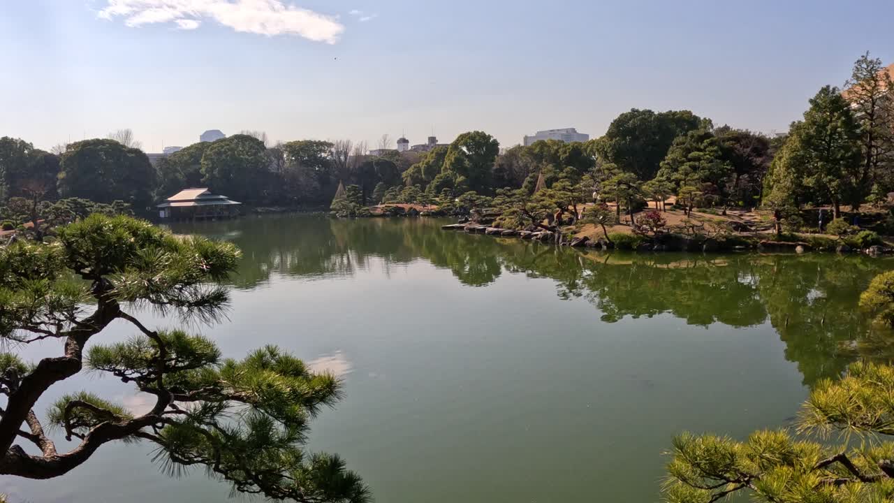 울창한 환경으로 조용한 호수의 타임스.
