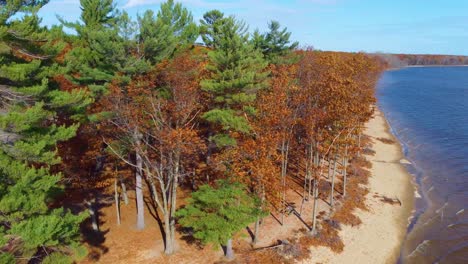 coastline with dense autumnal trees at oka national park in quebec, canada. aerial drone shot