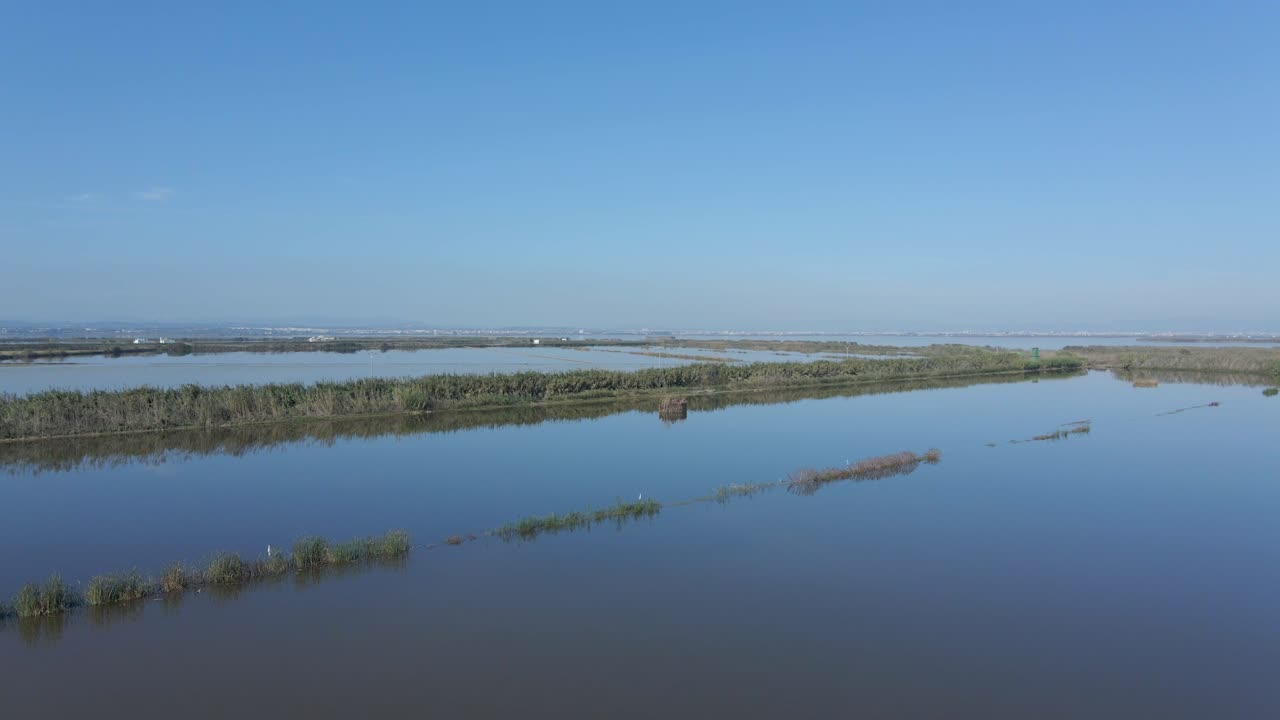 Aerial View of a Coastal Wetland Ecosystem