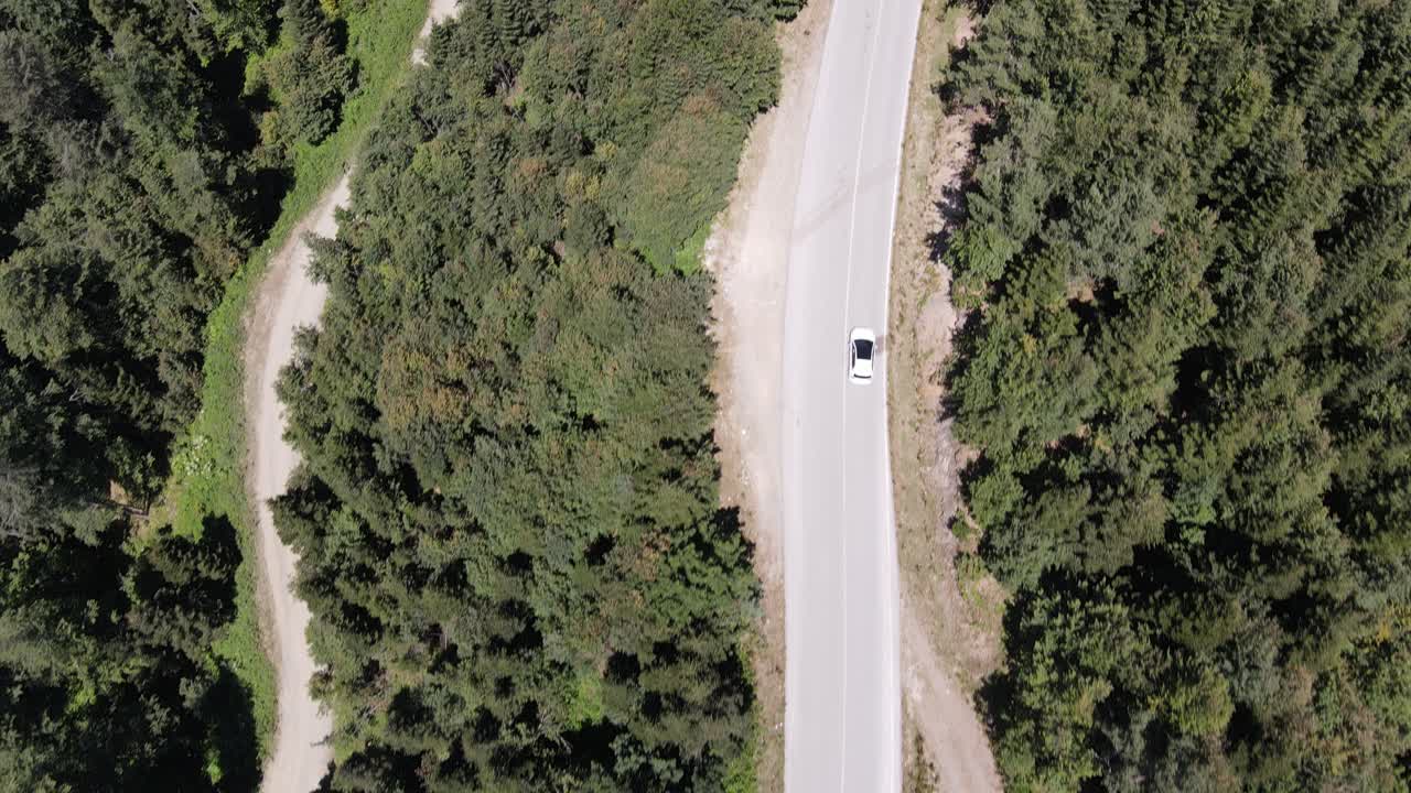 coche que viaja en medio del bosque 5