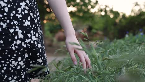 mano de mujer en cámara lenta caminando por la hierba