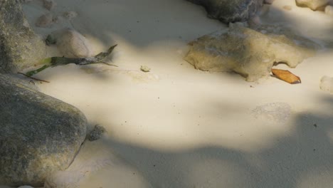 white sandy beach with rocks and shadows
