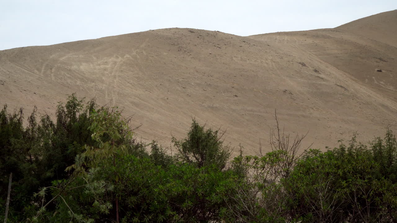 широкий снимок гор на природной тропе в сан-антонио, каньете, лима, перу с деревьями на переднем плане