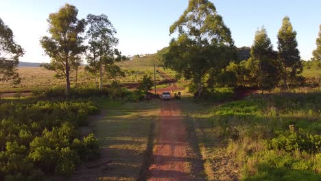 vista aérea de arriba de una camioneta en el camino saliendo de la plantación de yerba mate en misiones, argentina