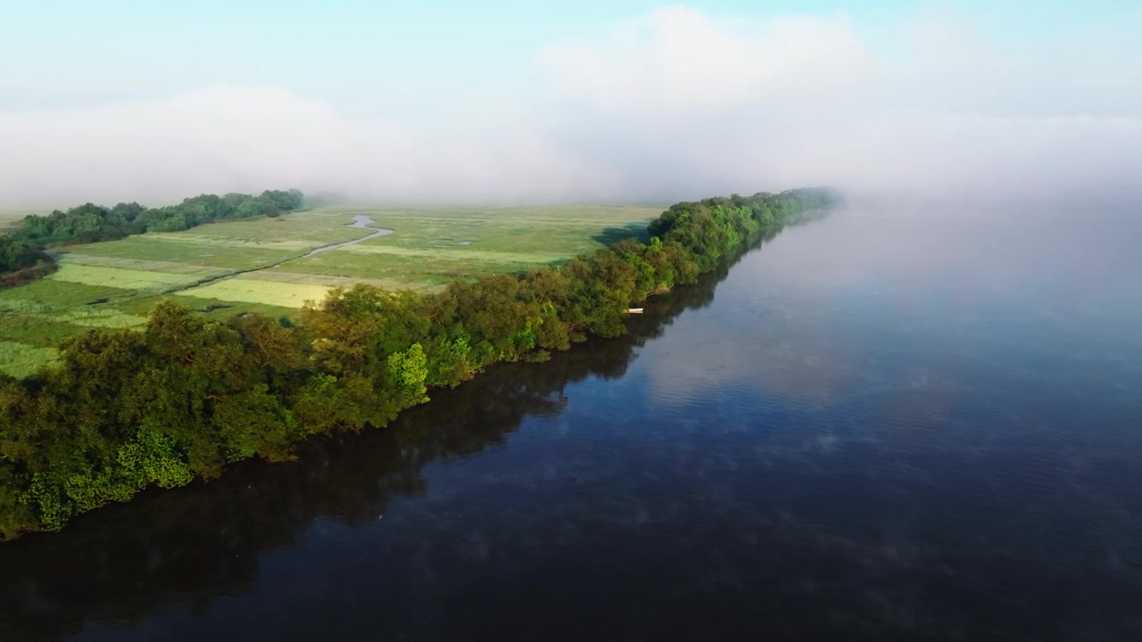 River winds through dense forest with green agricultural fields visible along the banks under morning mist. Smooth aerial tracking shot moves parallel to the shoreline at consistent altitude.
