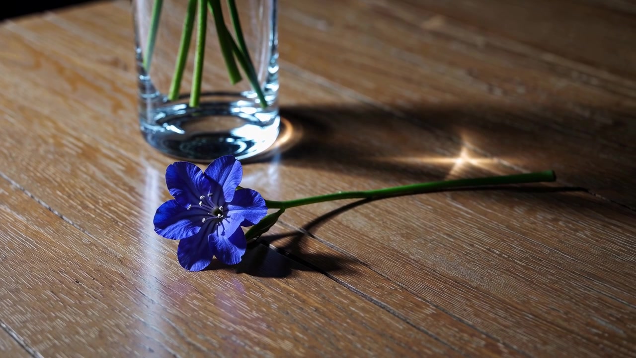 Singolo fiore blu adagiato su un tavolo di legno accanto a un vaso di vetro