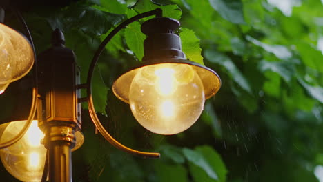 rain drops dripping from vintage style street light during summer light rain with vine leaves in background, focus shift from leaves to lamp, yellow outdoor lamp pulb casting warm orange glow