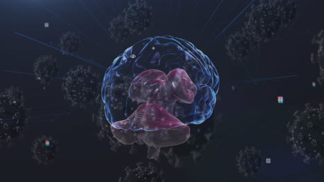 animación de las células de covid 19 con el cerebro humano girando