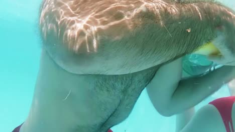 family swimming in pool