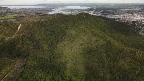 Bird&#039;s Eye View Of Lush Forest Of Mount Parihaka And Whangarei Cityscape, North Island In New Zealand