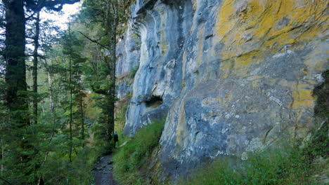 Panning-shot-of-person-hiking-on-narrow-path-along-rocky-cliff-in-forest-during-daytime