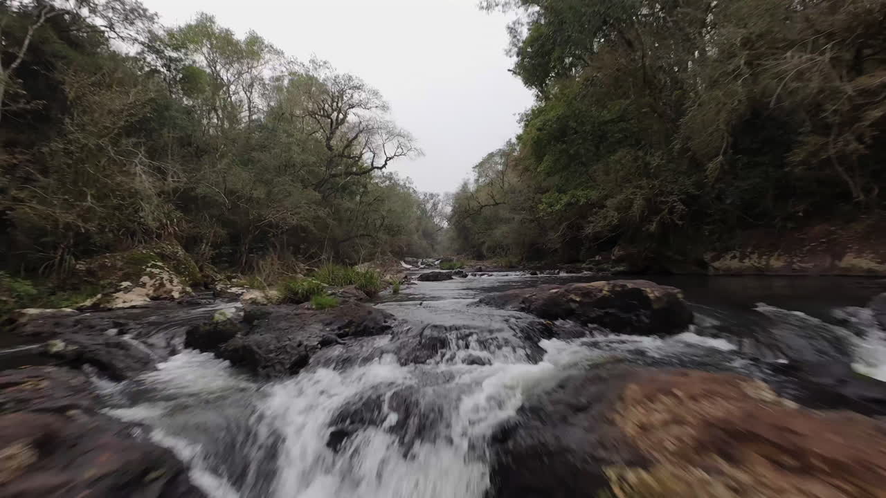 Emozionante filmato con drone FPV che vola vicino a un ruscello, catturando il movimento delle cascate circondate da una vegetazione lussureggiante, offrendo una prospettiva dinamica e immersiva dell'ambiente naturale.