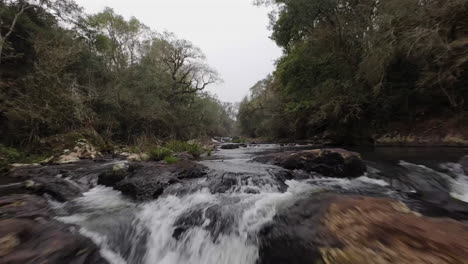 exciting fpv drone footage flying near a stream, capturing the motion of waterfalls surrounded by lush greenery, offering a dynamic and immersive perspective of the natural environment