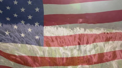 Animation-Der-Amerikanischen-Flagge,-Die-Sich-über-Eine-Sonnige-Wiese-Bewegt