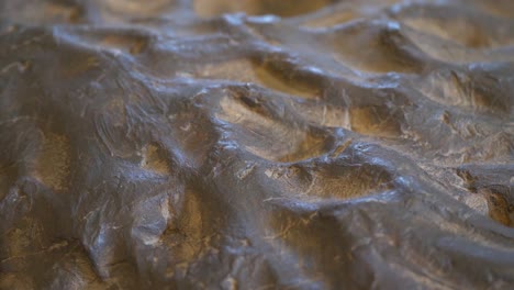 close-up of a fossilized rock surface