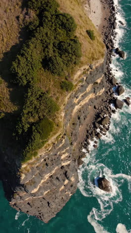coastal cliff with forested hilltop and crashing waves