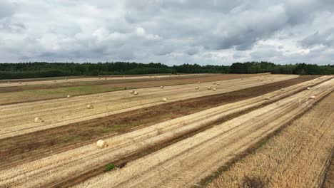 Enjoy-the-enchanting-spectacle-of-straw-bales-below-the-drone's-lens