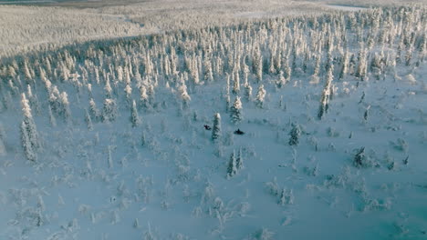 People Riding Snowmobiles Through Snow Covered Woods In Finland - aerial drone shot