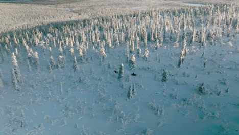 芬兰人骑着雪地摩托车穿过雪覆盖的森林 - - 飞行无人机拍摄