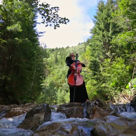 woman with cello on green nature background. attractive female cellist playing the musical instrument while stands on stones of shallow river in the forest.