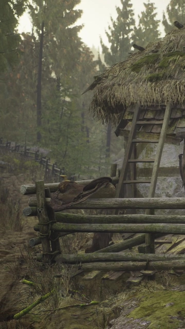 Gammelt træskur ved siden af hegn i skov i tidligt morgenlys