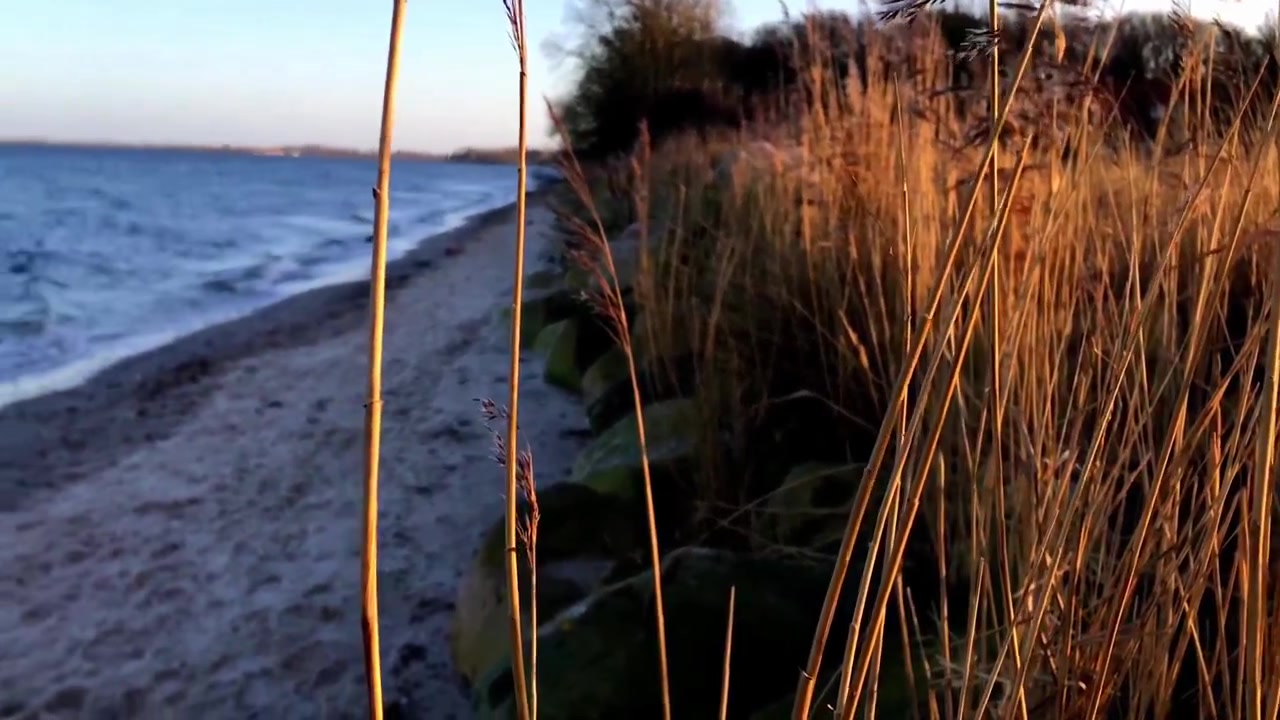 Golden hour sulla costa baltica dello Schleswig-Holstein in slow motion con vista a 180 gradi
