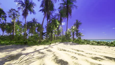 tropical paradise landscape with palm trees on serene beach at sunset