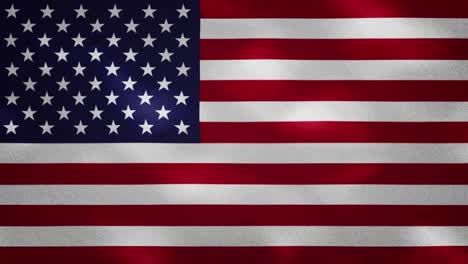 us dense flag fabric wavers, background loop