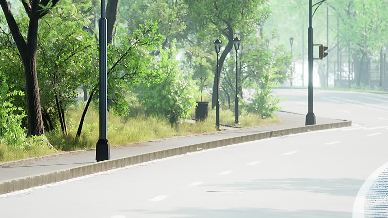 숲 한가운데 를 가로지르는 도로 의 사진