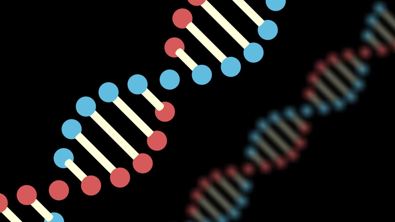 2D animation of two DNA on a black background. The object is oblique. The background is blurred. The focus is on the front. 60FPS