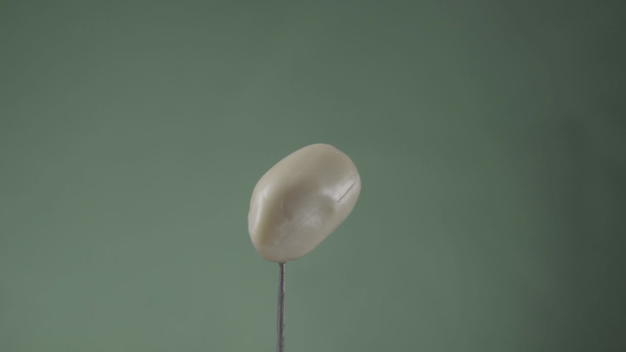 арахис вращается с петлей на зеленом экране для хроматической клавиши