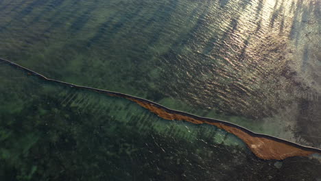 a floating algae boom, a beautiful resort on white sand beaches, punta cana, aerial pan up reveal