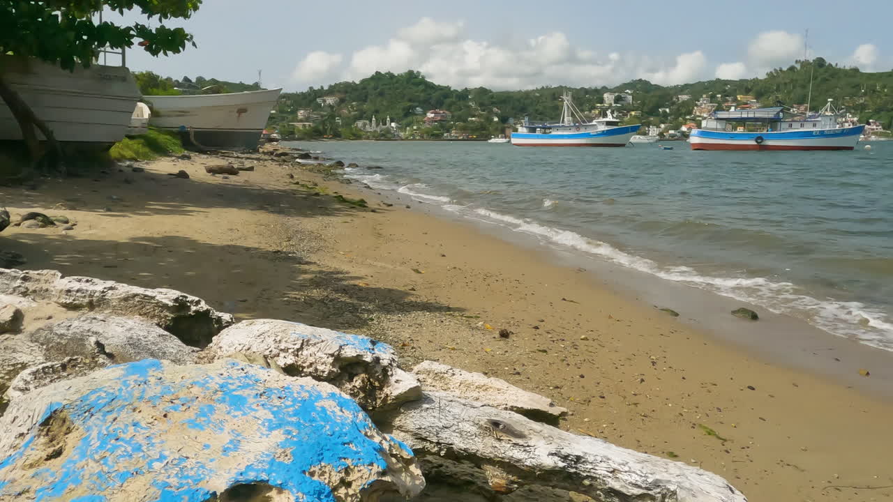 barcos de pesca amarrados en la costa de la costa de samaná en república dominicana