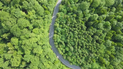 Aerial-tracking-shot-of-driving-electric-car-on-curvy-road-surrounded-by-deep-rainforest-during-sunny-day