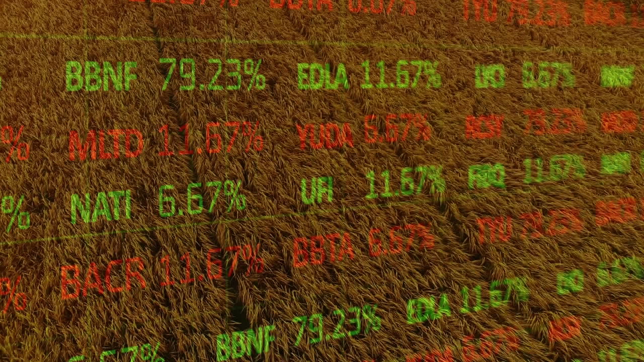 Animation der Finanzdatenverarbeitung über einem Agrarfeld