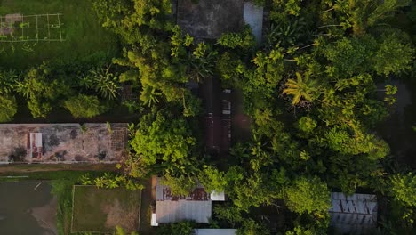 Descendiendo-Sobre-Un-Exuberante-Follaje-Tropical-Verde-Entre-Las-Casas-De-Pueblo-Básicas