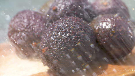 Rinsing-a-bunch-of-freshly-picked,-ripe-avocados-in-the-summer-sun