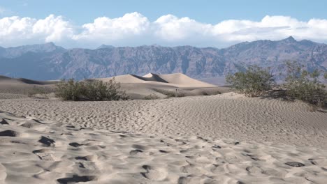 sand dunes with vegetation in death valley, mojave desert, california, aerial rising shot